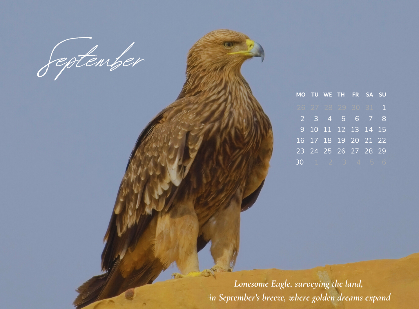 2024 BIRDS CALENDAR