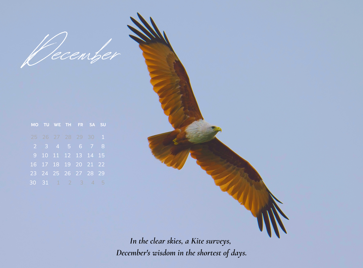 2024 BIRDS CALENDAR