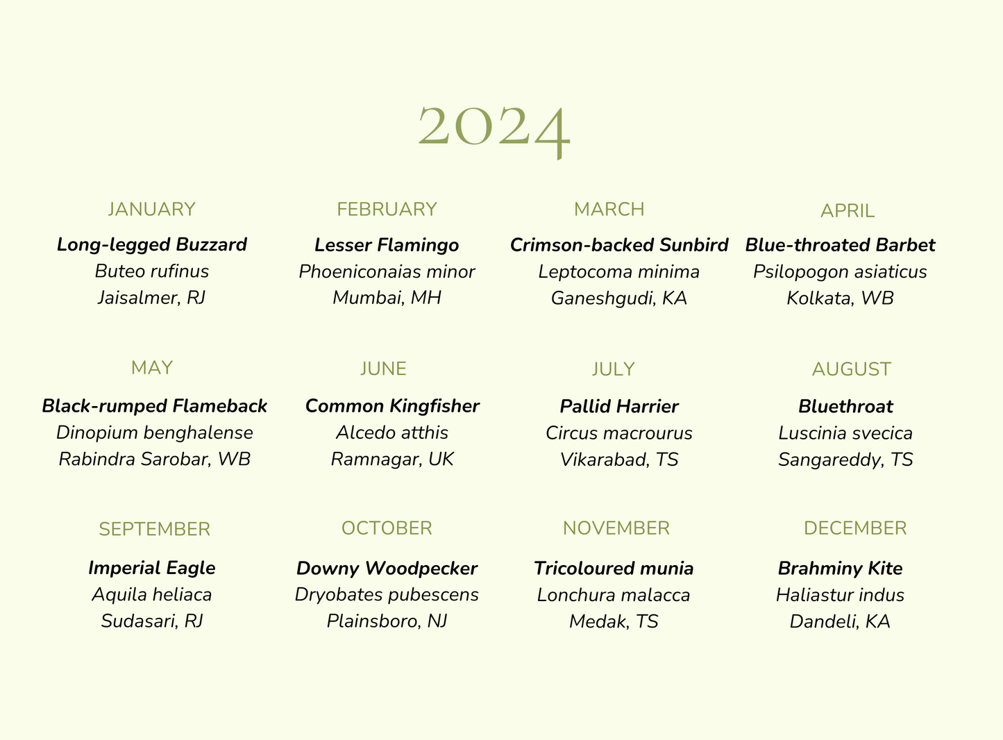 2024 BIRDS CALENDAR
