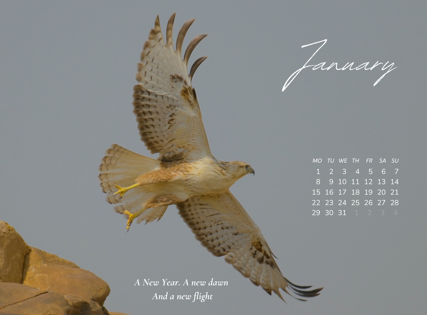 2024 BIRDS CALENDAR