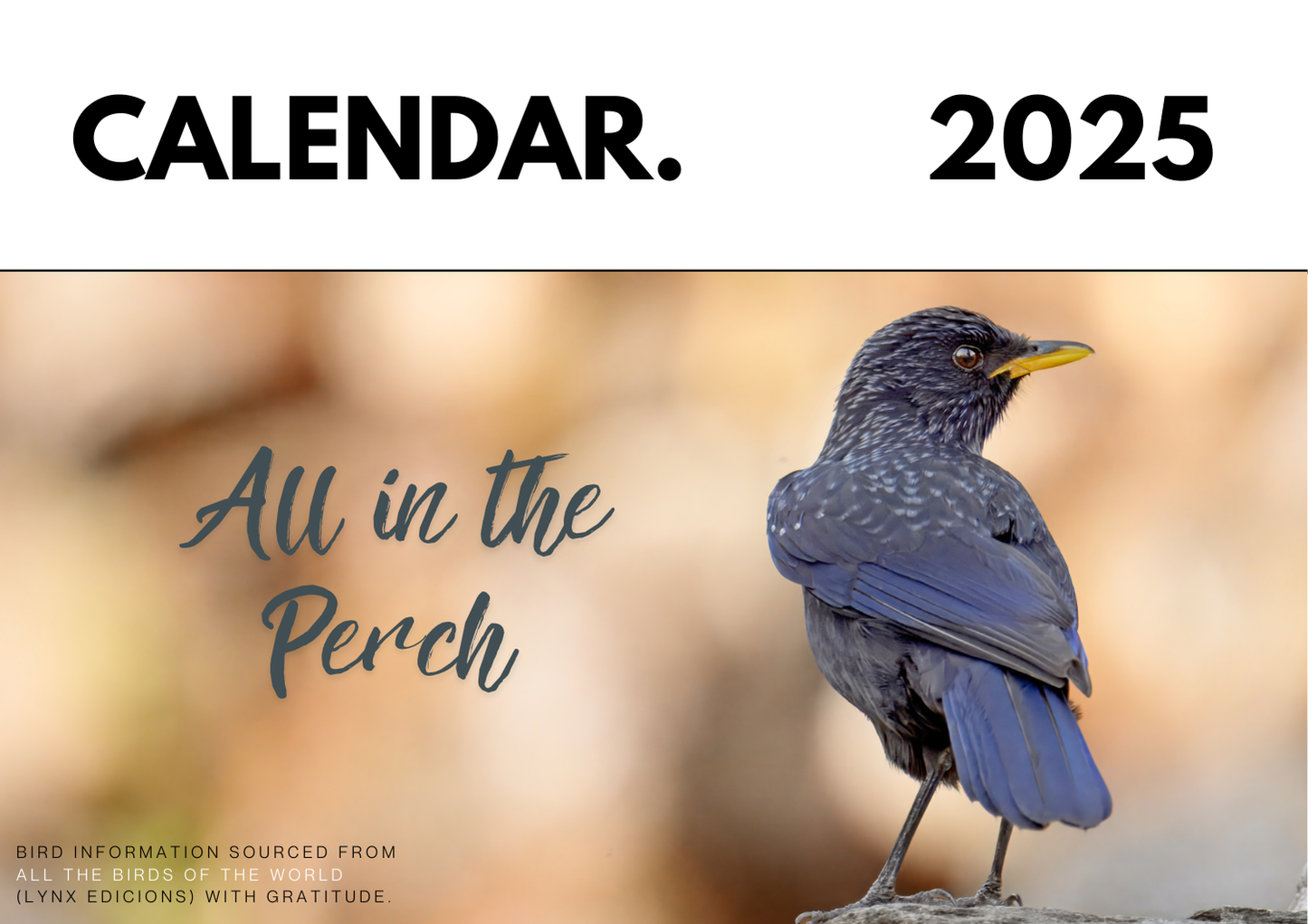 2025 Bird Photography A4 Desk Calendar with QR-Linked Bird Information, All in the Perch