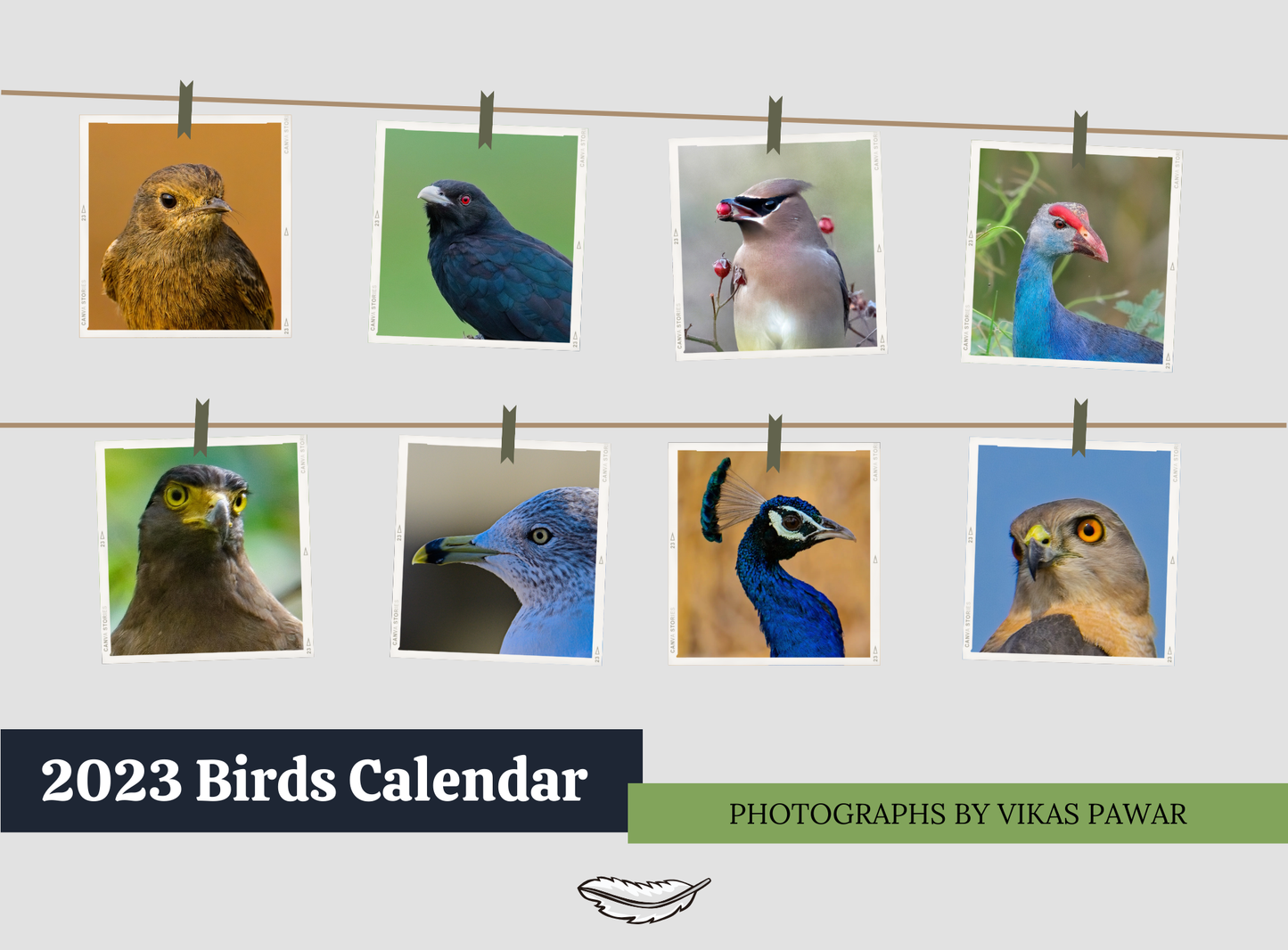 2023 BIRDS CALENDAR