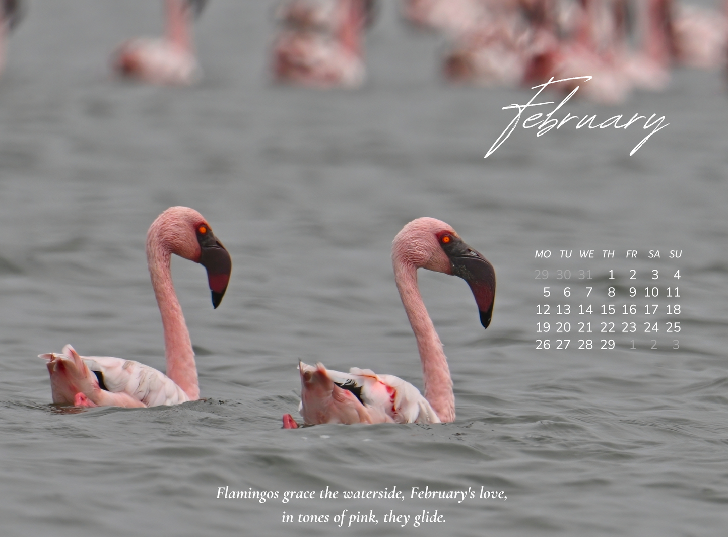 2024 BIRDS CALENDAR