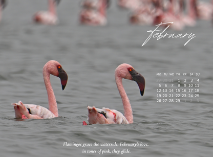 2024 BIRDS CALENDAR
