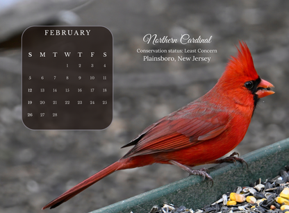 2023 BIRDS CALENDAR