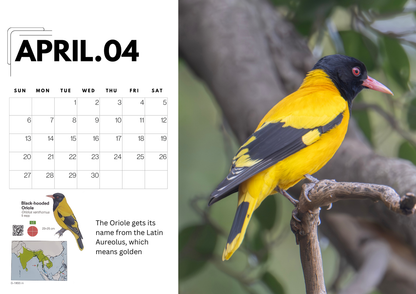 2025 Bird Photography A4 Desk Calendar with QR-Linked Bird Information