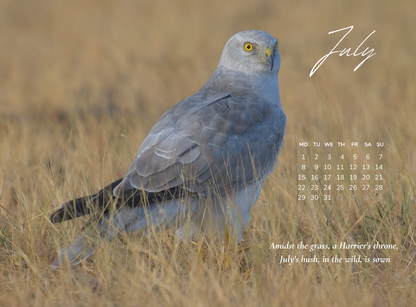 2024 BIRDS CALENDAR